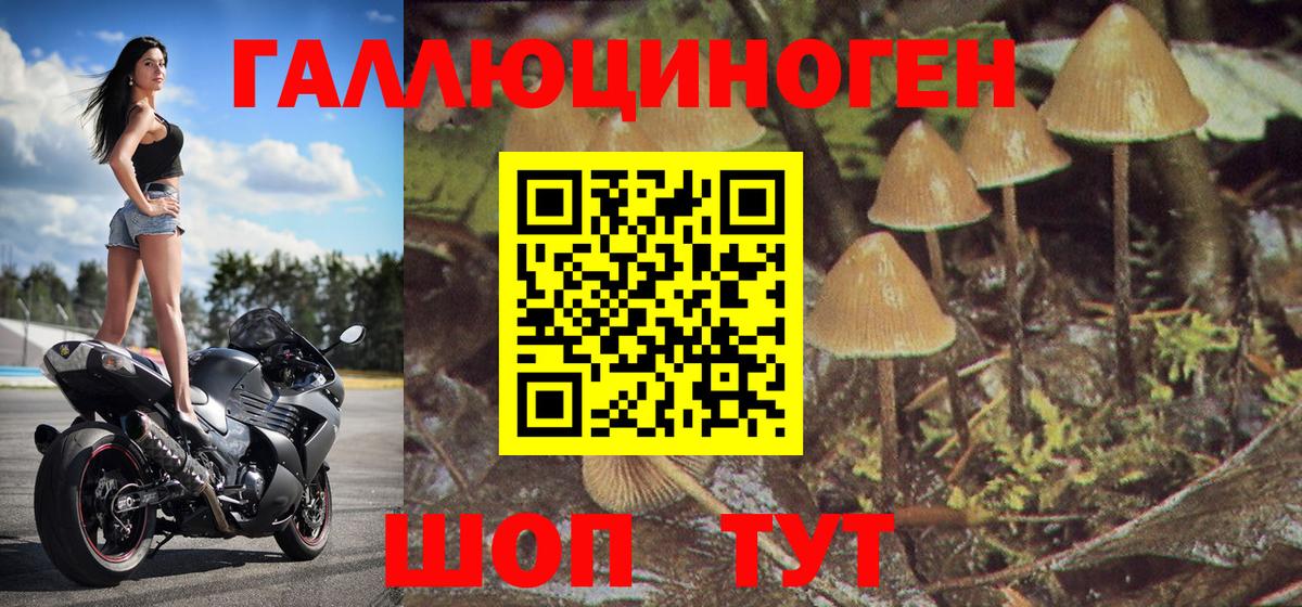 что такое   Вход с VPN  Кирово-Чепецк  Галлюциногенные грибы Magic Shrooms 